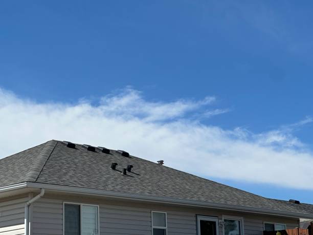Siding in Geronimo, OK